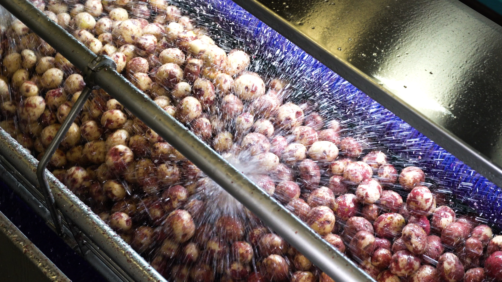 A Vanmark peeler makes potato chip processing easier and more efficient. A Vanmark peeler makes potato chip processing easier and more efficient.